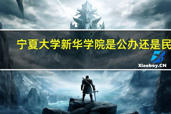 宁夏大学新华学院是公办还是民办