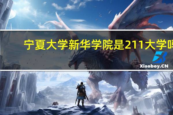 宁夏大学新华学院是211大学吗