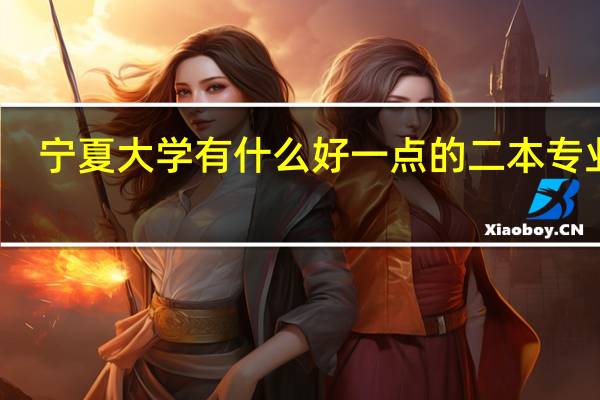 宁夏大学有什么好一点的二本专业吗