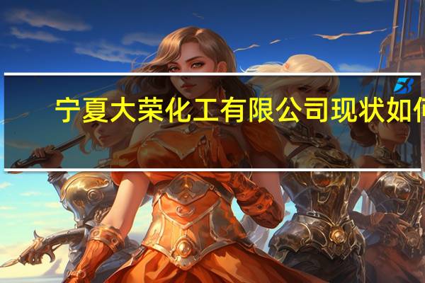 宁夏大荣化工有限公司现状如何
