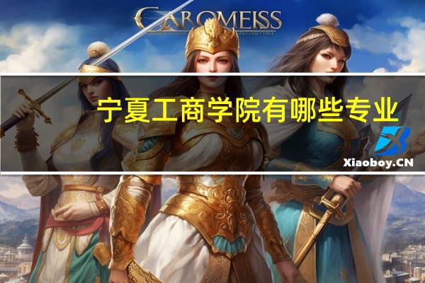 宁夏工商学院有哪些专业