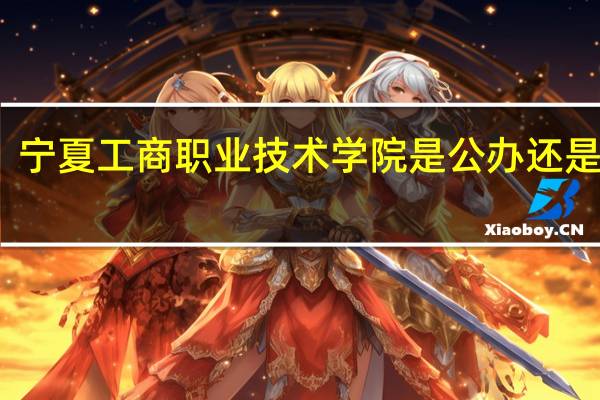 宁夏工商职业技术学院是公办还是民办