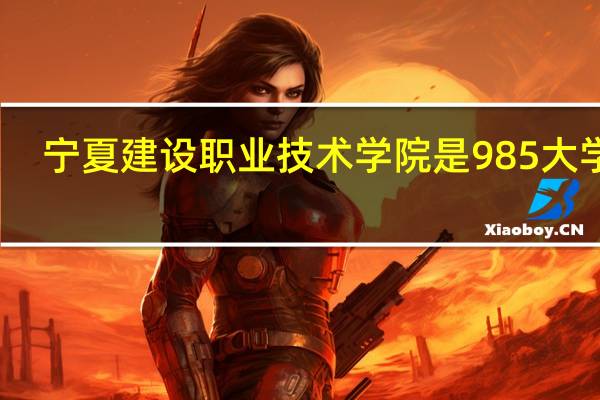 宁夏建设职业技术学院是985大学吗