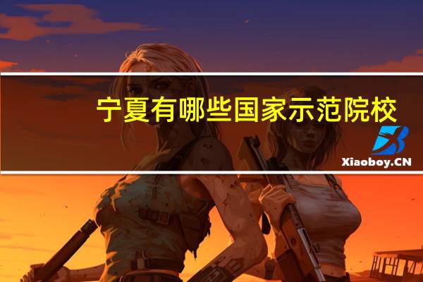 宁夏有哪些国家示范院校