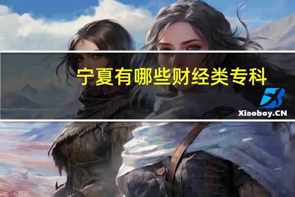 宁夏有哪些财经类专科