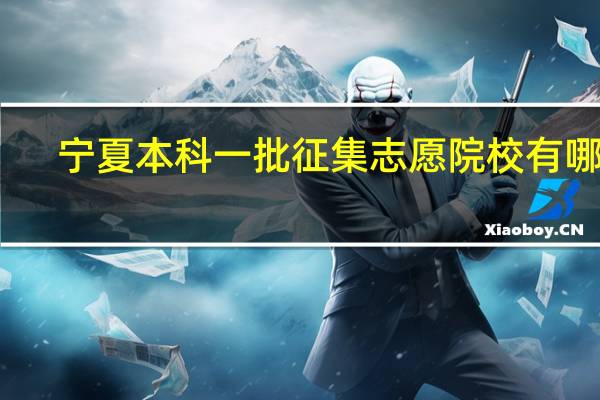 宁夏本科一批征集志愿院校有哪些