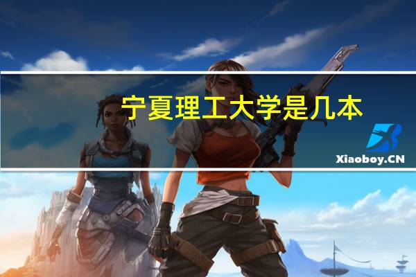 宁夏理工大学是几本