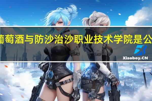 宁夏葡萄酒与防沙治沙职业技术学院是公办还是民办