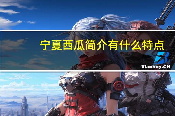 宁夏西瓜简介有什么特点(有爱有明天简介)