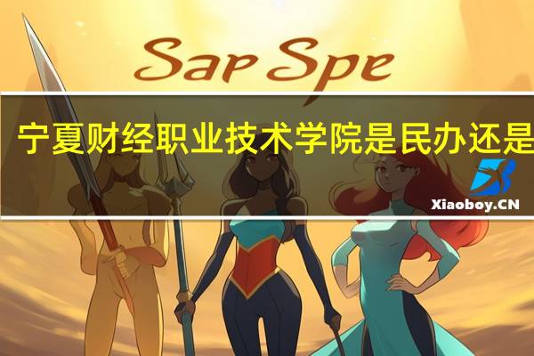 宁夏财经职业技术学院是民办还是公办