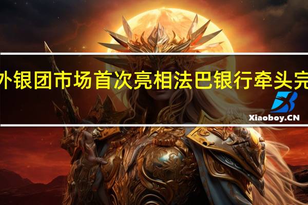 宁德时代在境外银团市场首次亮相法巴银行牵头完成6亿美元银团贷款