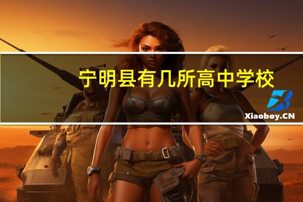 宁明县有几所高中学校