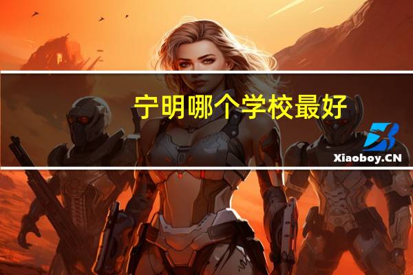 宁明哪个学校最好