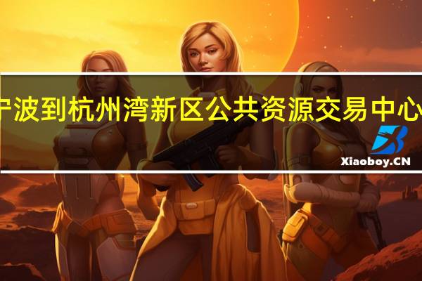 宁波到杭州湾新区公共资源交易中心怎么走