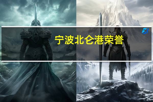 宁波北仑港荣誉-国内排名及它和其它港口的情况