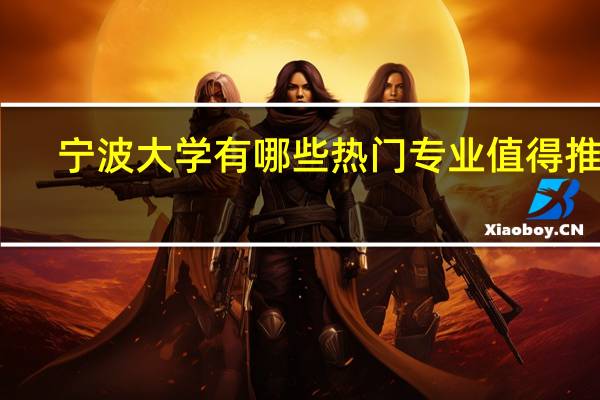 宁波大学有哪些热门专业值得推荐