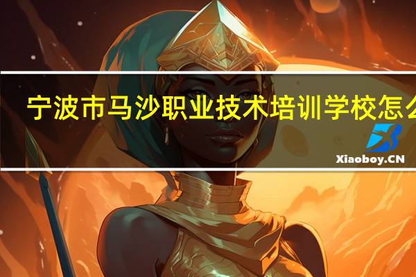 宁波市马沙职业技术培训学校怎么样