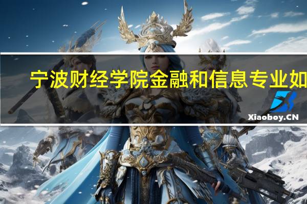 宁波财经学院金融和信息专业如何