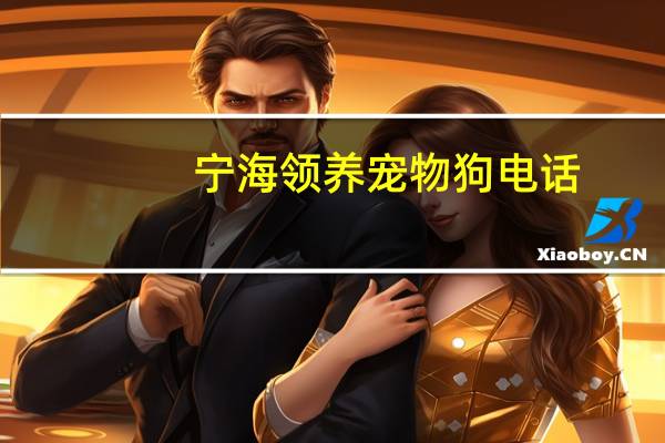 宁海领养宠物狗电话