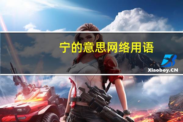 宁的意思网络用语（宁的意思）