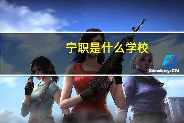 宁职是什么学校,求助!