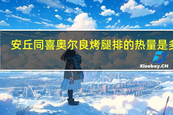 安丘同喜 奥尔良烤腿排的热量是多少
