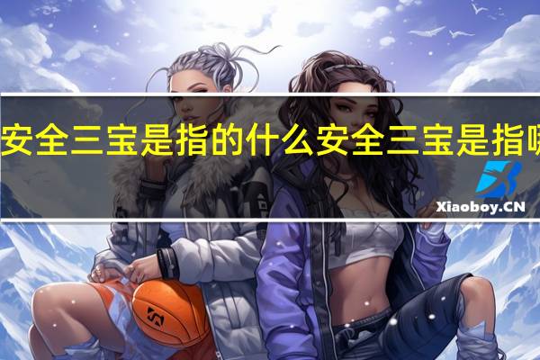 安全三宝是指的什么 安全三宝是指哪三宝