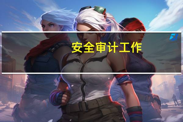 安全审计工作(安全审计简介)
