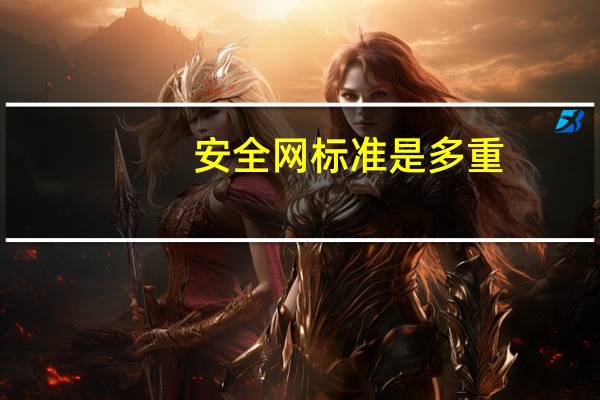 安全网标准是多重（安全网标准）