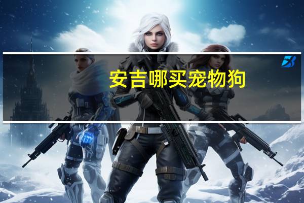 安吉哪买宠物狗
