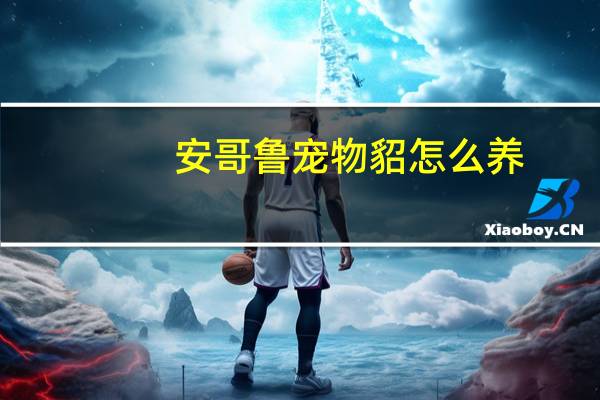 安哥鲁宠物貂怎么养