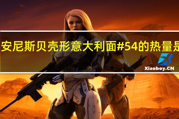 安尼斯 贝壳形意大利面#54的热量是多少