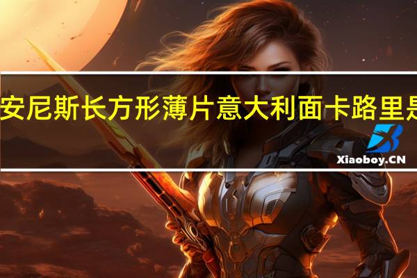 安尼斯 长方形薄片意大利面卡路里是多少