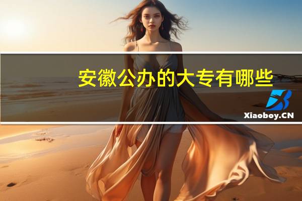 安徽公办的大专有哪些