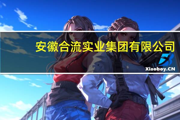 安徽合流实业集团有限公司(关于安徽合流实业集团有限公司简述)