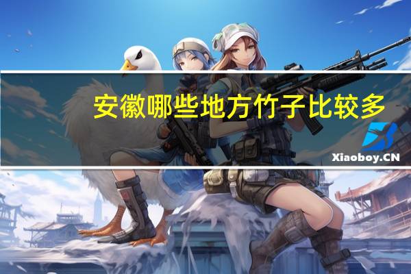 安徽哪些地方竹子比较多