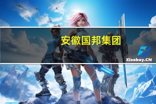 安徽国邦集团(关于安徽国邦集团简述)