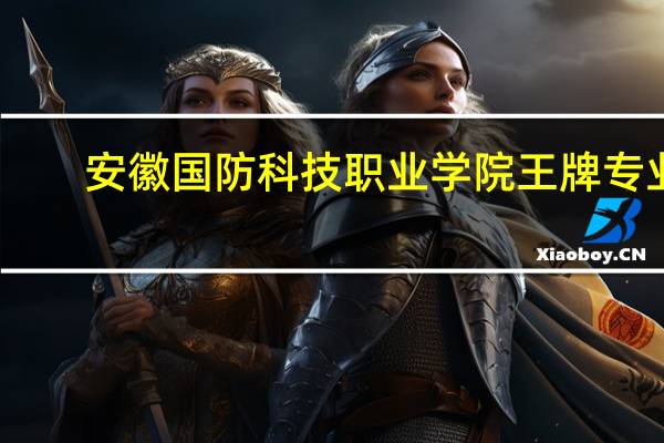 安徽国防科技职业学院王牌专业