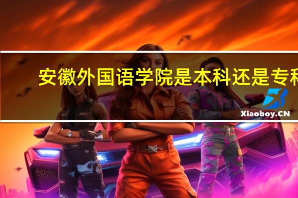 安徽外国语学院是本科还是专科