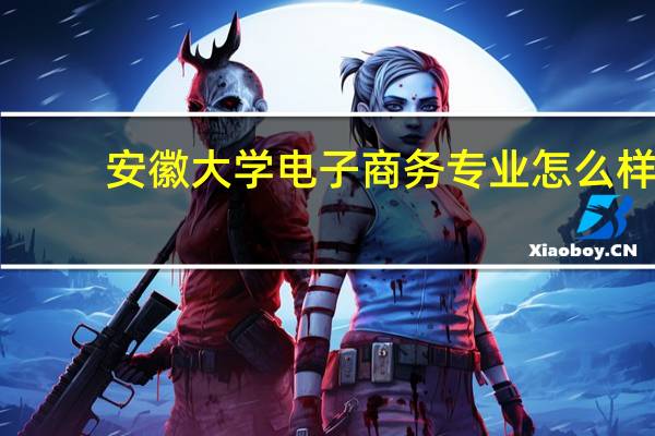 安徽大学电子商务专业怎么样