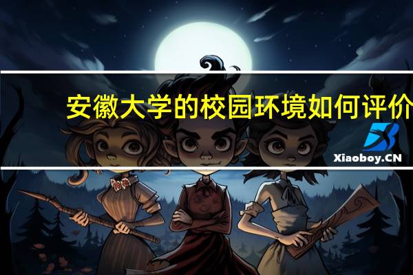 安徽大学的校园环境如何评价