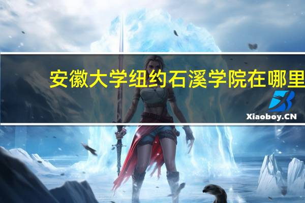 安徽大学纽约石溪学院在哪里