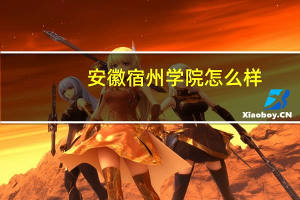 安徽宿州学院怎么样