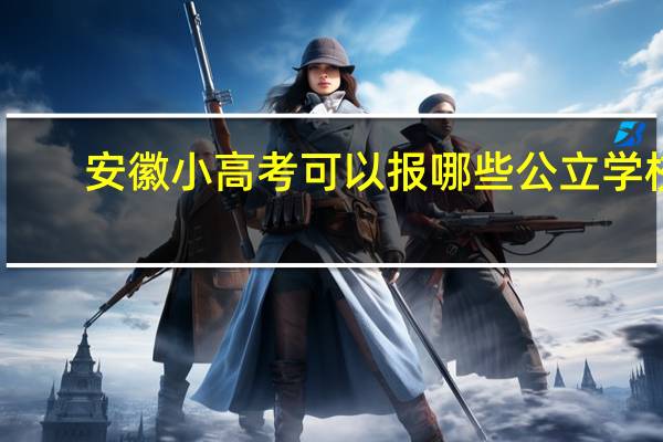 安徽小高考可以报哪些公立学校