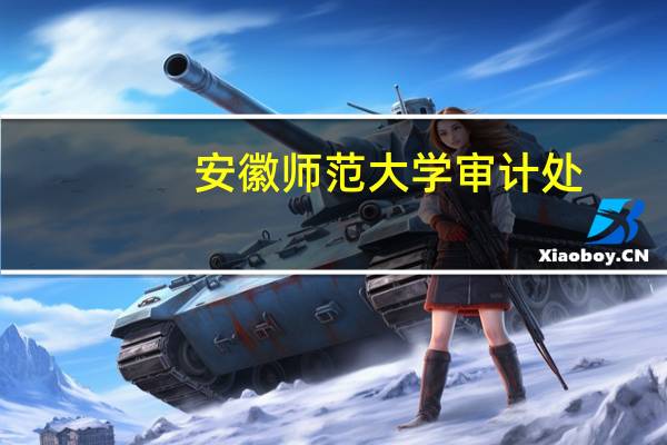 安徽师范大学审计处(关于安徽师范大学审计处简述)