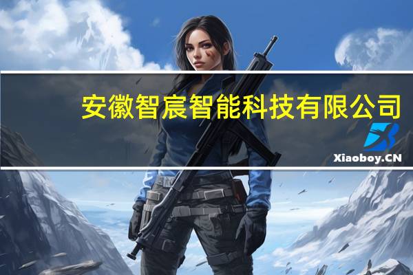 安徽智宸智能科技有限公司(关于安徽智宸智能科技有限公司简述)