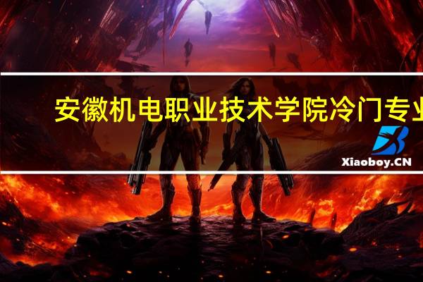 安徽机电职业技术学院冷门专业