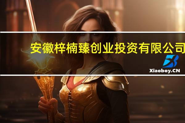 安徽梓楠臻创业投资有限公司(关于安徽梓楠臻创业投资有限公司简述)