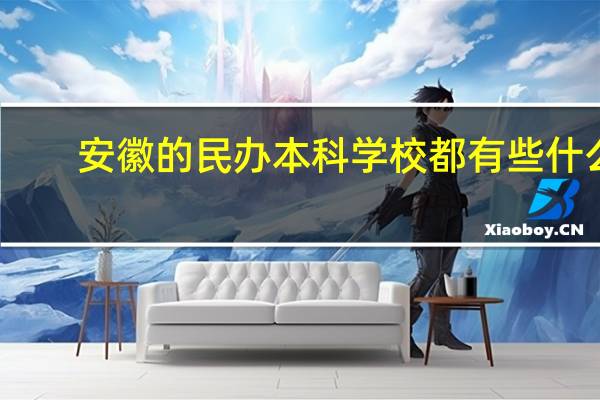 安徽的民办本科学校都有些什么