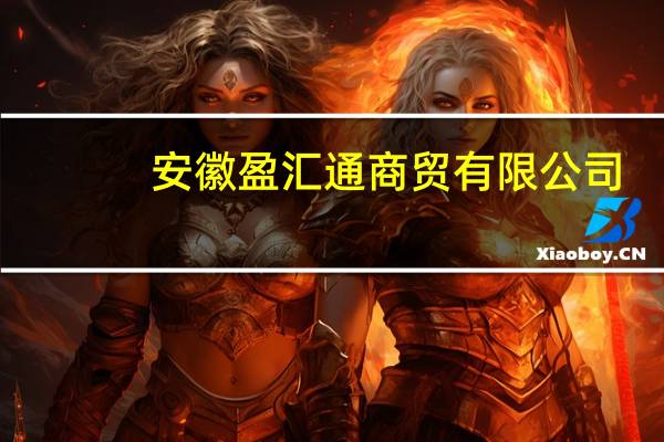 安徽盈汇通商贸有限公司(关于安徽盈汇通商贸有限公司简述)